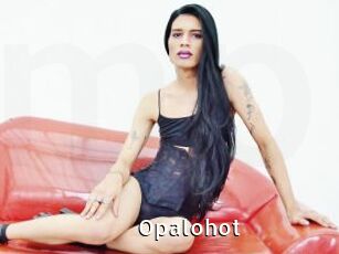 Opalohot