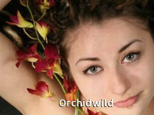 orchidwild My Porno Stash