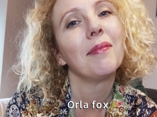 Orla_fox