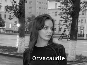 Orvacaudle