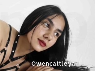 Owencattleya