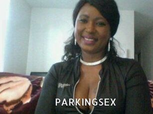 PARKINGSEX My Porno Stash
