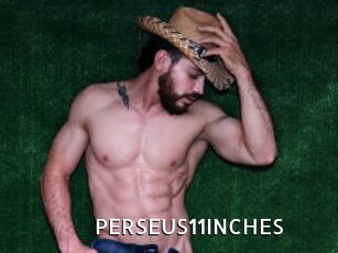 PERSEUS11INCHES