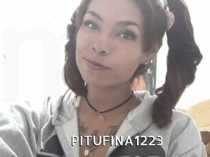 PITUFINA1223