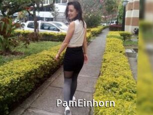 PamEinhorn