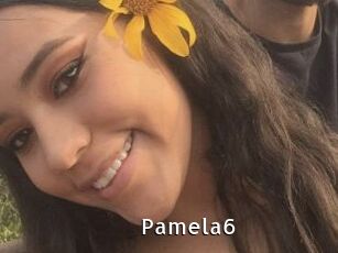 Pamela6