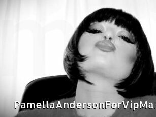 PamellaAndersonForVipMan My Porno Stash