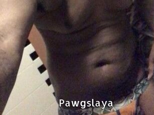 Pawgslaya