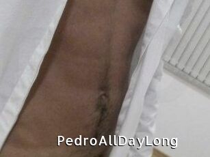 PedroAllDayLong