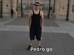 Pedro_go