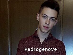 Pedrogenove