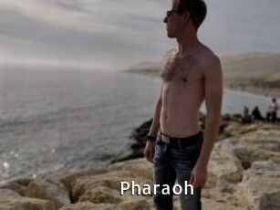 Pharaoh