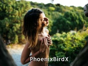 PhoenixBirdX