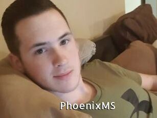 PhoenixMS