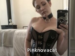Pinknovacat