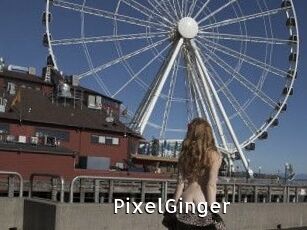PixelGinger