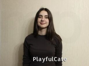 PlayfulCate