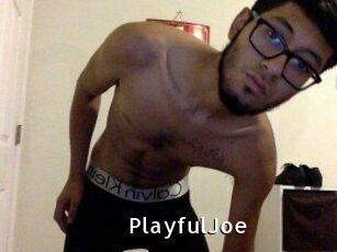 PlayfulJoe