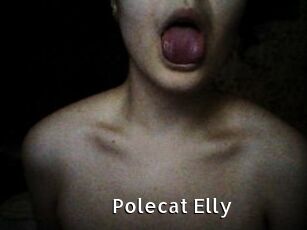 Polecat_Elly