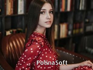 PolinaSoft