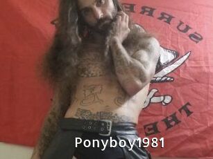 Ponyboy1981