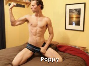 Poppy_