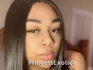 PrincessExotica My Porno Stash