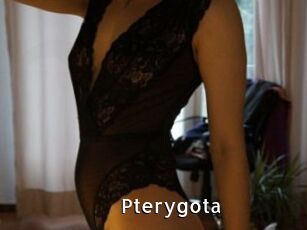 Pterygota