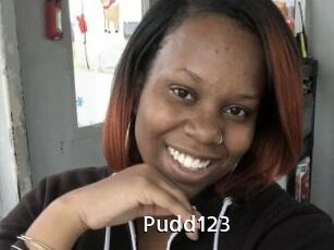 Pudd123