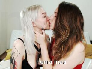 Puma_maa