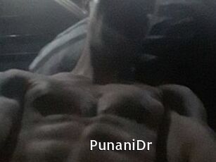PunaniDr