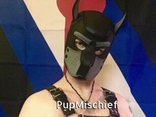 PupMischief