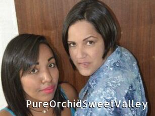 PureOrchidS_weetValley