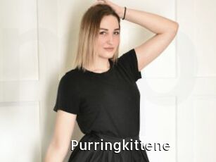 Purringkittene