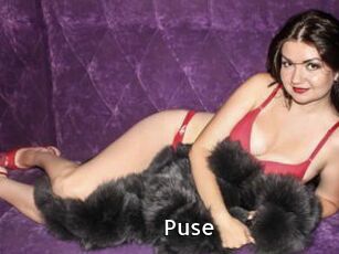Puse