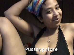 Pussaygalore