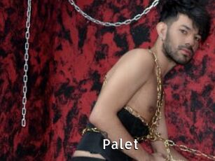 Palet