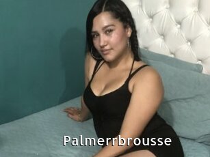 Palmerrbrousse