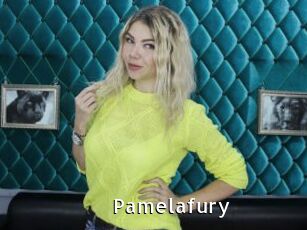 Pamelafury