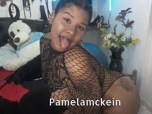 Pamelamckein