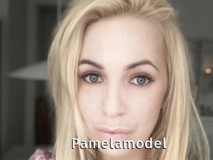 Pamelamodel