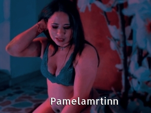 Pamelamrtinn