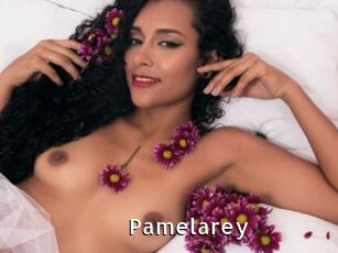 Pamelarey