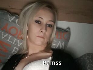 Pamss