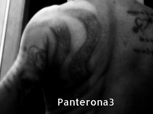 Panterona3