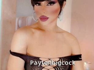 paytonbigcock My Porno Stash
