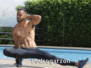 Pedrogarzon