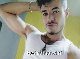 Pedromancini