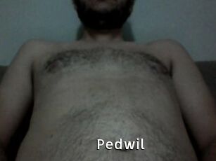 Pedwil