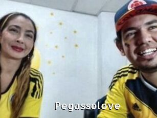Pegasso_love